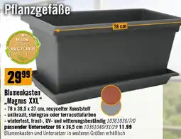 Hornbach Blumenkasten „Magnus XXL Angebot