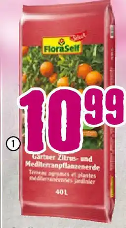 Hornbach Kübelpflanzenerde & Zitruspflanzenerde Angebot