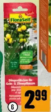 Hornbach Düngestäbchen für Grünpflanzen & Zitruspflanzen Angebot