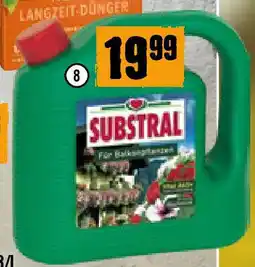 Hornbach Balkonpflanzenduner Angebot