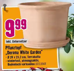 Hornbach Deroma White Garden Angebot