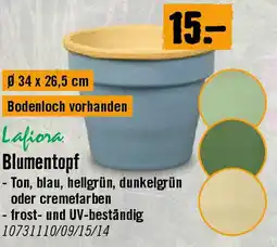 Hornbach Blumentopf Lafiora Ton Angebot