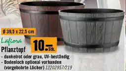 Hornbach Pflanztopf Angebot
