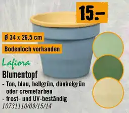 Hornbach Blumentopf Angebot