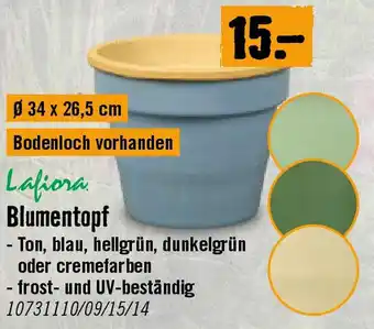 Hornbach Blumentopf Angebot