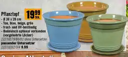 Hornbach Pflanztopf Angebot