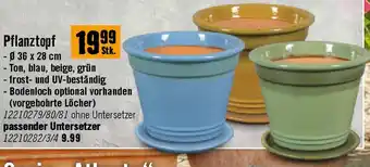 Hornbach Pflanztopf Angebot