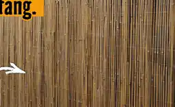 Hornbach Sichtschutzmatte Angebot