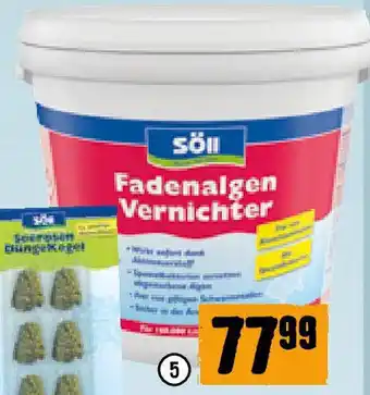Hornbach Fadenalgen Vernichter Angebot