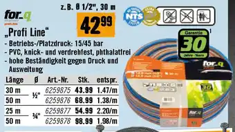 Hornbach „Profi Line Angebot