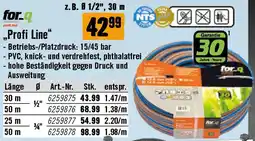 Hornbach „Profi Line Angebot