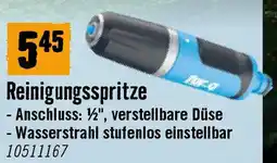 Hornbach Reinigungsspritze Angebot