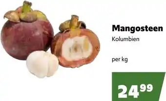 Eurogast Grissemann Mangosteen Angebot