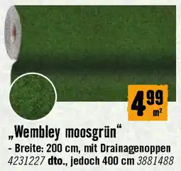Hornbach Wembley moosgrün Angebot