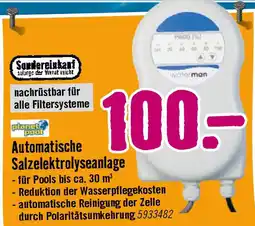 Hornbach Automatische Salzelektrolyseanlage Angebot