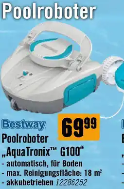 Hornbach Poolroboter Angebot