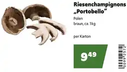 Eurogast Grissemann Riesenchampignons ,,Portobello" Angebot