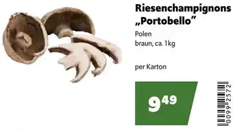 Eurogast Grissemann Riesenchampignons ,,Portobello" Angebot