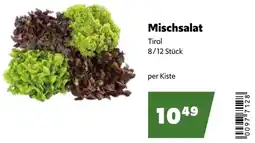 Eurogast Grissemann Mischsalat Angebot