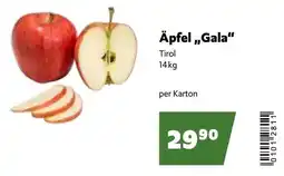 Eurogast Grissemann Äpfel,,Gala“ Angebot