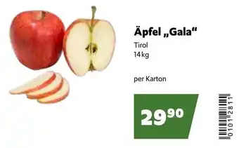 Eurogast Grissemann Äpfel,,Gala“ Angebot