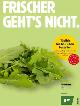 Eurogast Grissemann Rucola lose Angebot