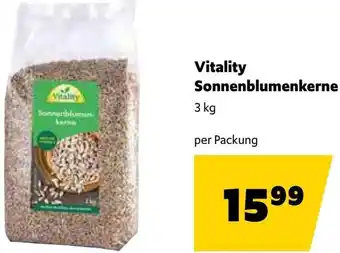 Eurogast Grissemann Sonnenblumenkerne Angebot