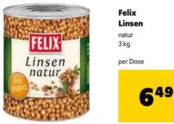 Eurogast Grissemann Linsen Angebot