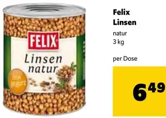 Eurogast Grissemann Linsen Angebot