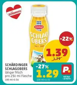 PENNY SCHÄRDINGER SCHLAGOBERS Angebot
