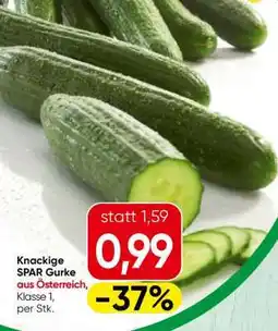 Spar knackige SPAR Gurke Angebot