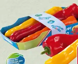 Spar Spitzpaprika-Mix Angebot