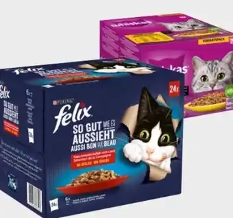 Interspar Purina Felix Katzennahrung Angebot