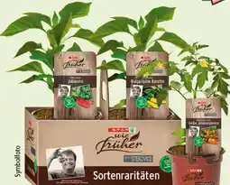 Interspar SPAR wie früher Stekovics Pflanzen Angebot