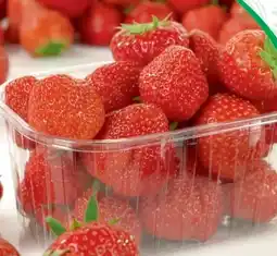 SPAR Gourmet Spar Erdbeeren Angebot