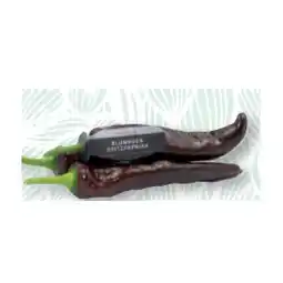 SPAR Gourmet Blumauer Spitzpaprika „Chocolony” SPAR Gourmet Angebot