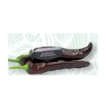 SPAR Gourmet Blumauer Spitzpaprika „Chocolony” SPAR Gourmet Angebot