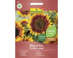 Hornbach Blumensamen FloraSelf Select Sonnenblume 'Ring of Fire' Angebot