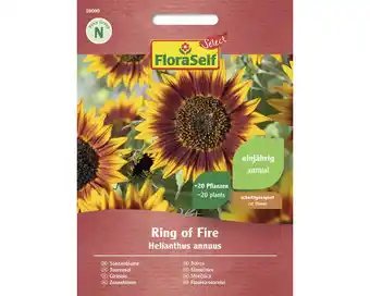 Hornbach Blumensamen FloraSelf Select Sonnenblume 'Ring of Fire' Angebot