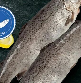 Lidl Forelle Angebot