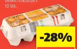 Hofer Goldland Eier Angebot
