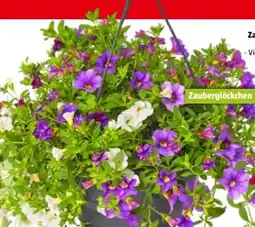 Bauhaus Zauberglöckchen Angebot