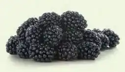 Hofer Hofer Marktplatz Brombeeren Angebot