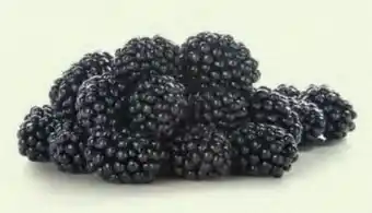 Hofer Hofer Marktplatz Brombeeren Angebot