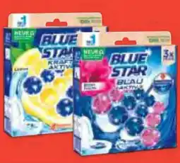 Hofer Blue Star WC-Beckensteine Angebot