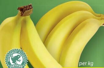 Lidl Bananen Angebot