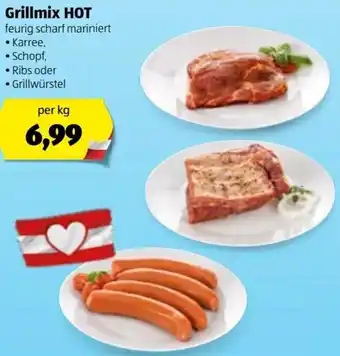 Hofer Grillmix Hot Angebot