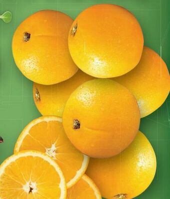 Lidl Orangen Angebot