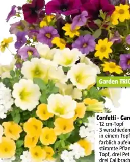 Bauhaus Confetti Garden Trio Angebot