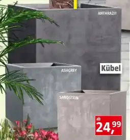 Bauhaus Pflanzkübel Millennium Angebot
